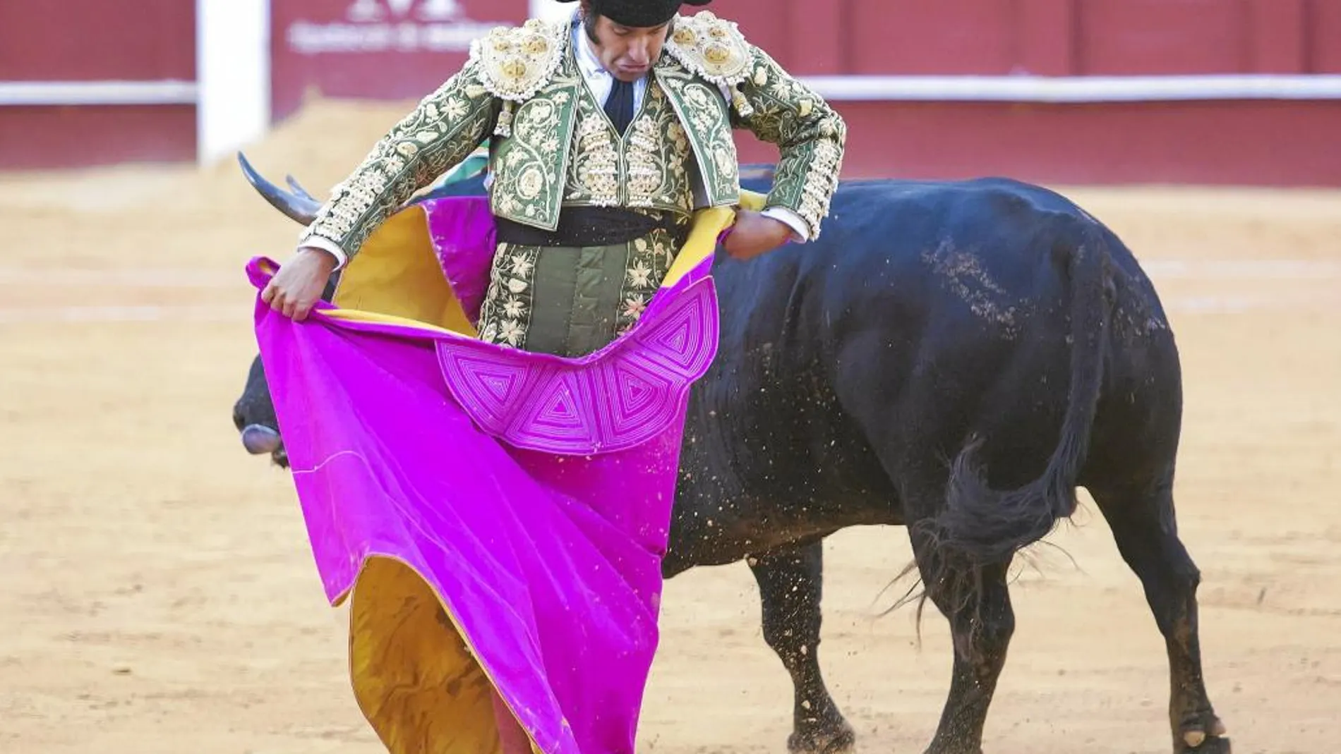 Chicuelina de Morante de la Puebla, ayer, en La Malagueta