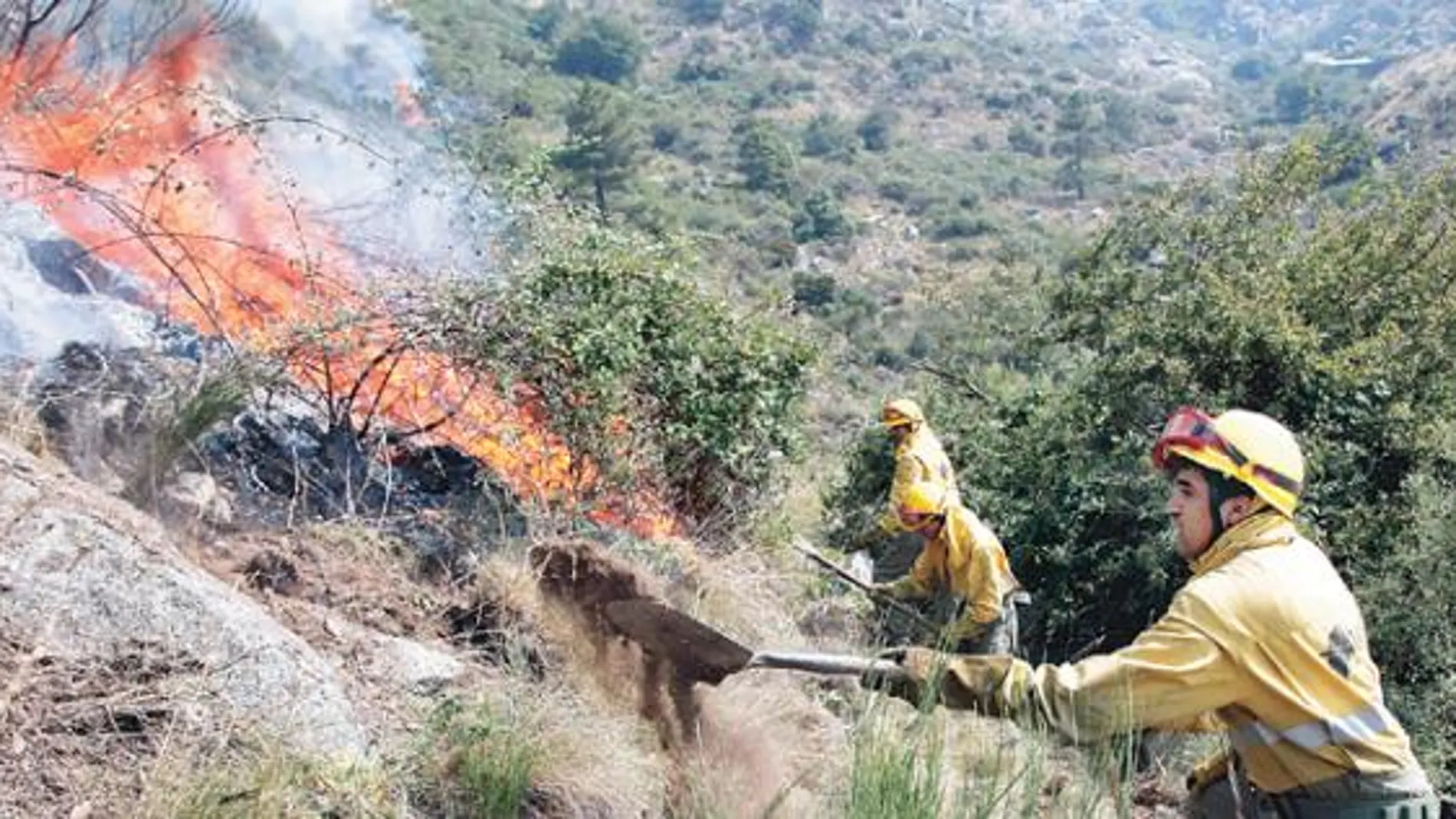 Las llamas han arrasado más de 5.500 hectáreas de pinar de alto valor ecológico en el incendio de la Sierra de Gredos, en Ávila