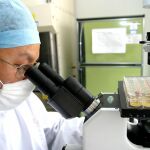 El descubrimiento permitirá reducir la duración de los tratamientos