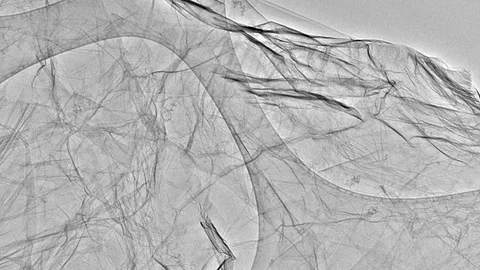 Micrografía de grafeno