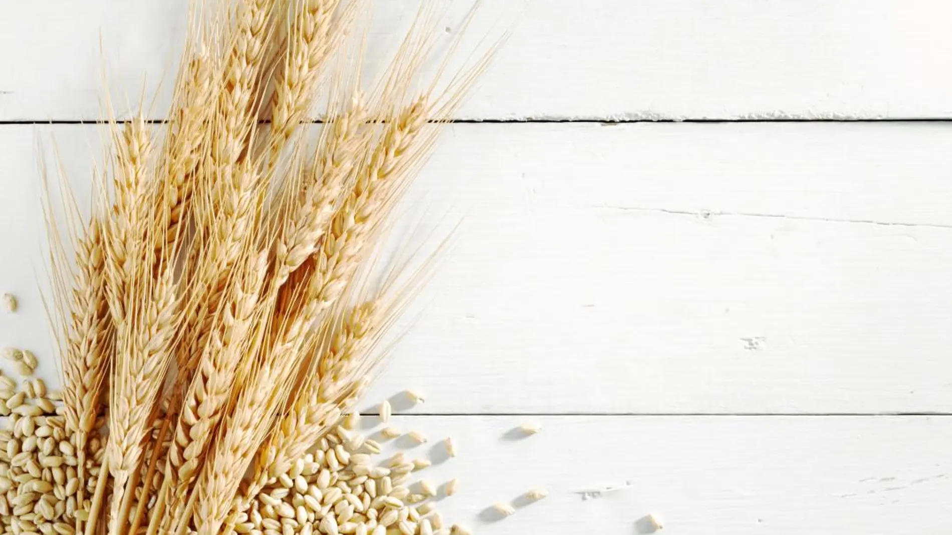 El secreto del trigo