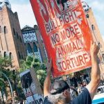 Versión reducida de los antitaurinos