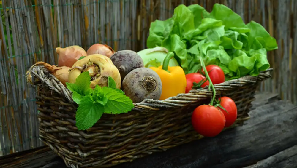 Las verduras fritas con aceite de oliva virgen extra mejoran su capacidad antioxidante y el contenido de compuestos fenólicos