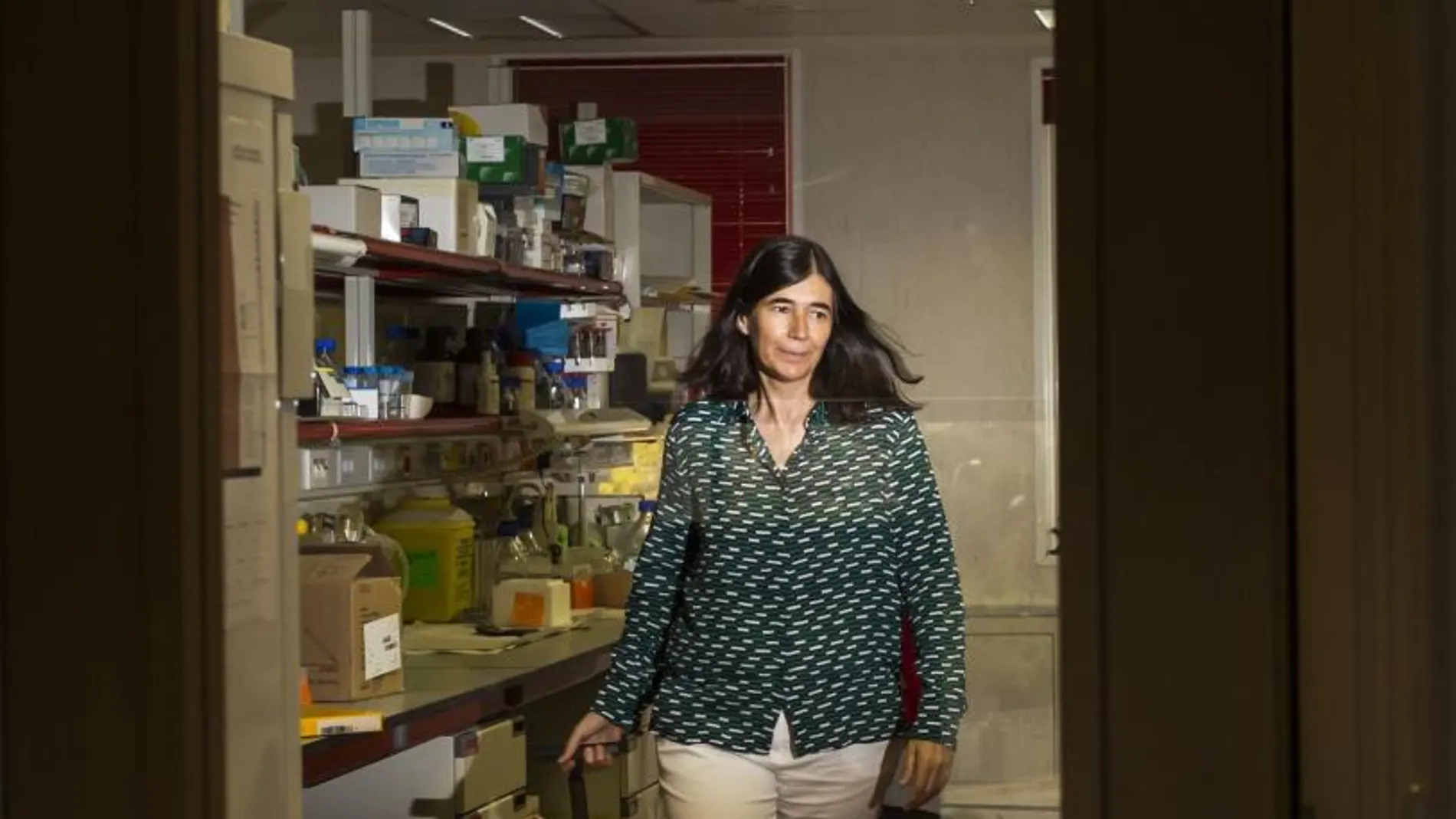 María Blasco, directora del Centro Nacional de Investigaciones Oncológicas (CNIO). Fotos: Alberto R. Roldán