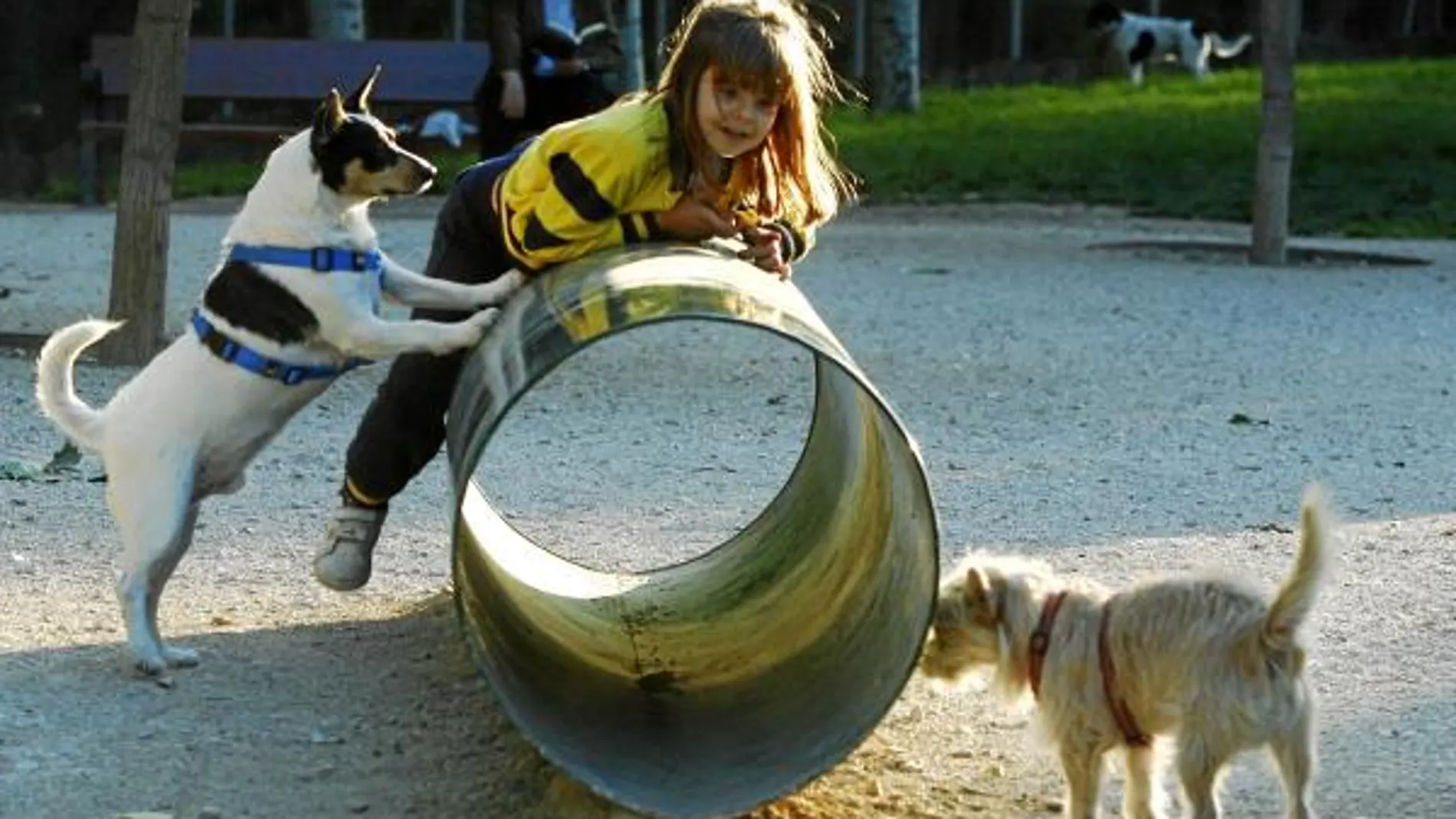 Hay gente a la que le molestan los perros y pone veneno en los parques