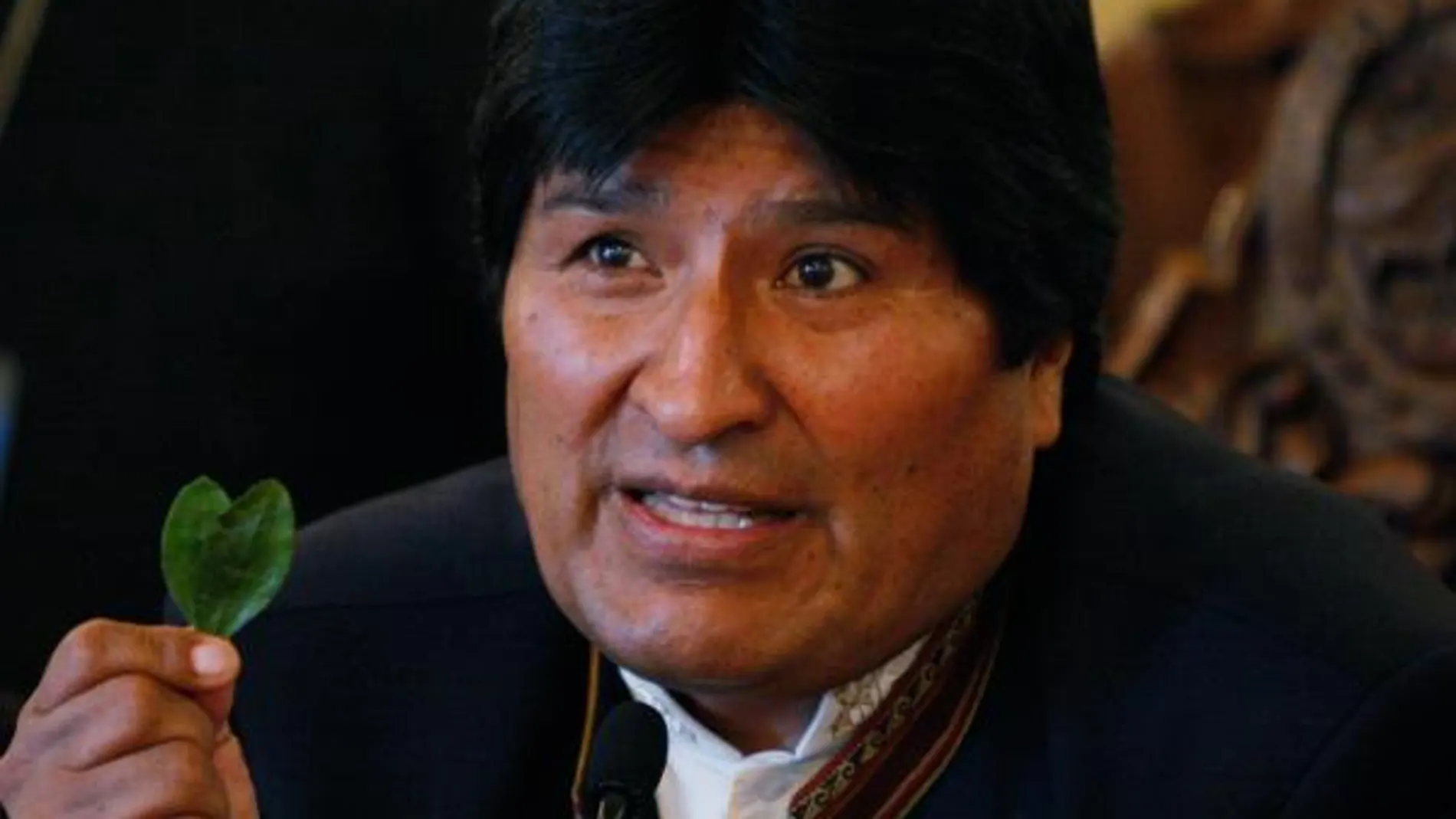 Morales pide a la ONU que despenalice la hoja de coca (que no la cocaína).