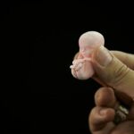 Una de cada tres mujeres que abortan ya lo ha hecho antes