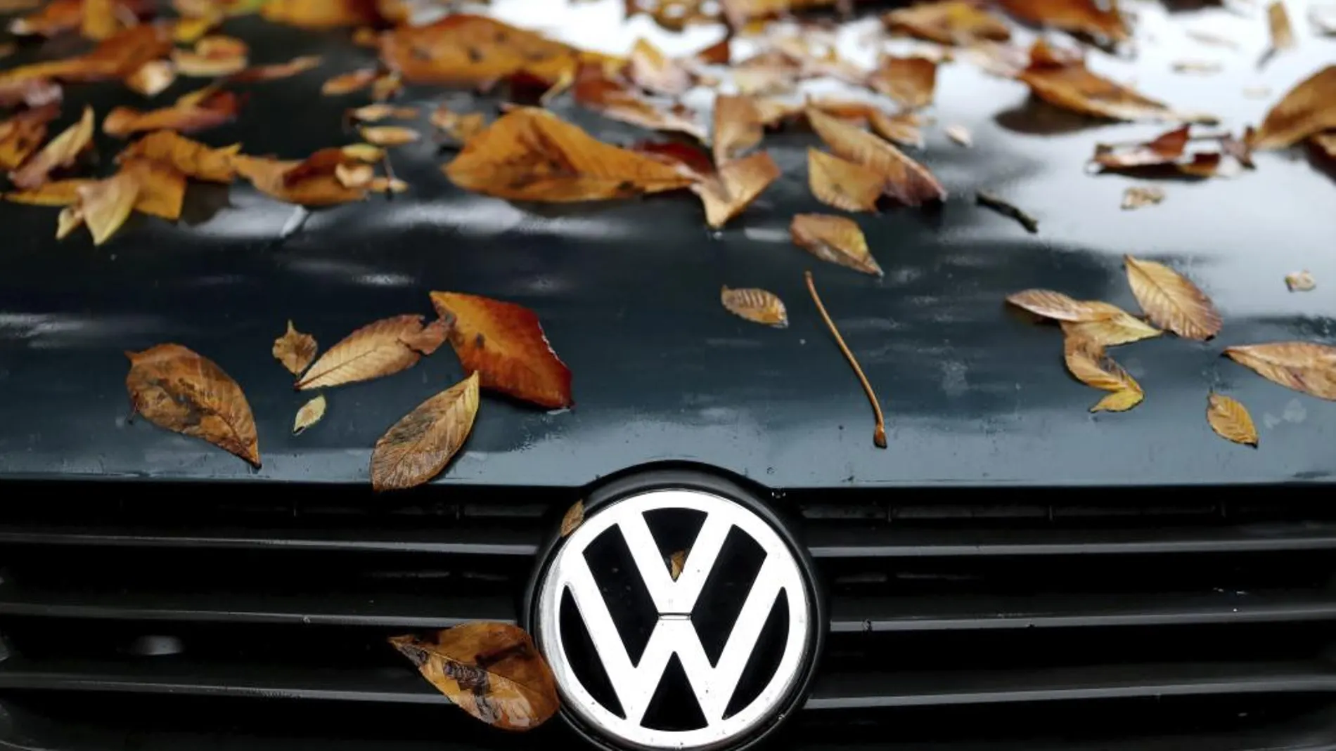 Varias hojas caídas decoran el capó de un Volkswagen Polo en Leipzig (Alemania).