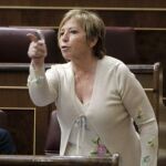 Celia Villalobos se desmarca de los populares y se abstiene en la votación