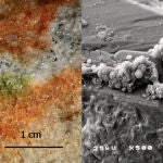 Sección de una roca colonizada por microorganismos criptoendolíticos y detalle al microscopio electrónico de un hongo Cryomyces en cristales de cuarzo