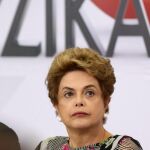 El gobierno de Dilma Rousseff no ha logrado impedir la extensión del virus zika a todas las regiones del país