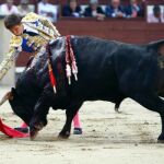 El Juli, en imagen de archivo