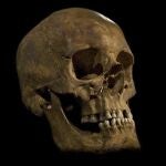 Imagen distribuida por la Universidad de Leicester que muestra una calavera que tras una serie de investigaciones científicas, se cree que pertenece al Rey Ricardo III.