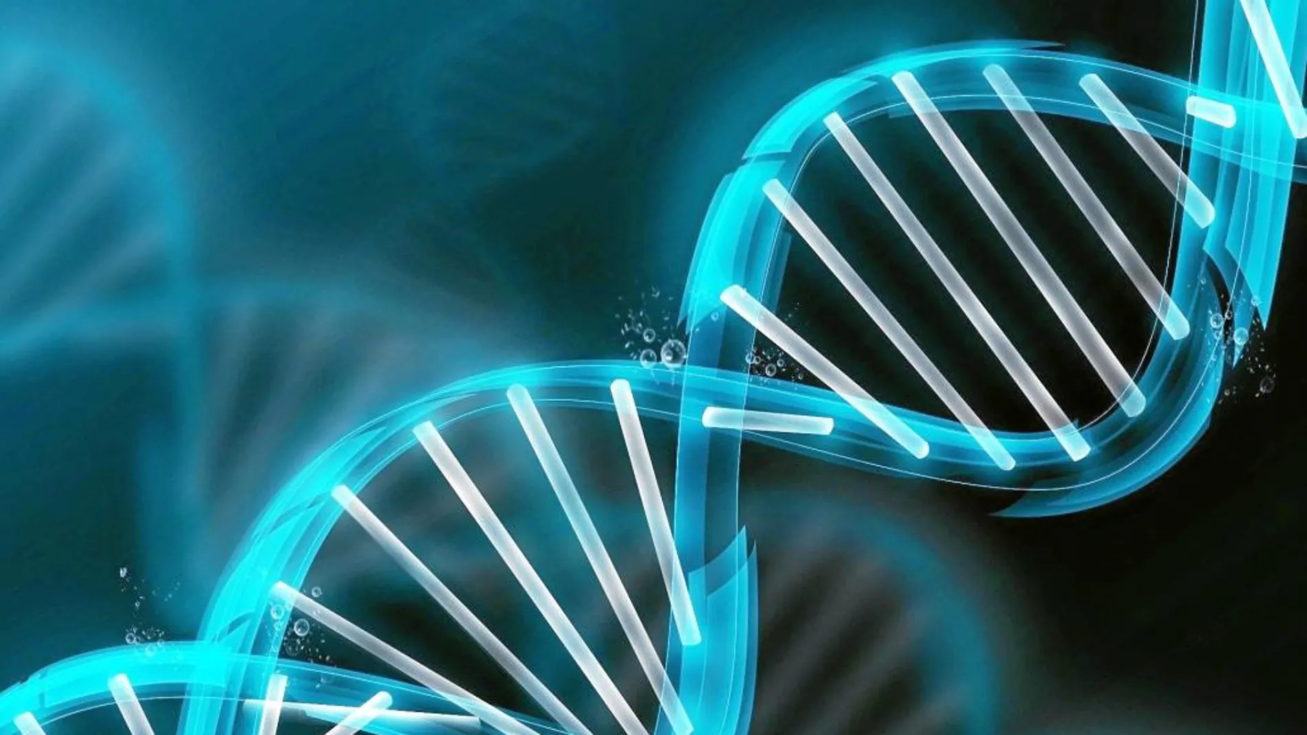 Cada molécula de ADN cuenta con dos cadenas de eslabones químicos