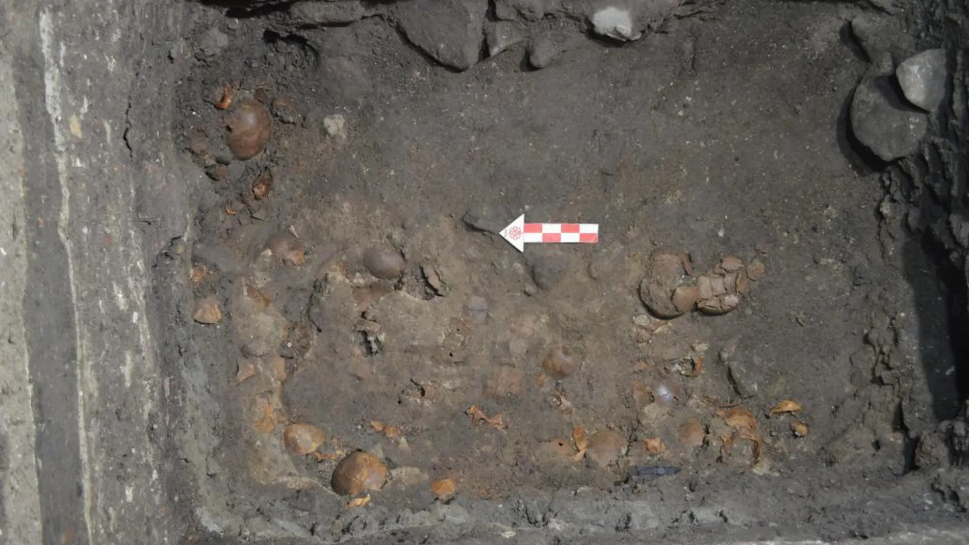 Fotografía cedida por el Instituto Nacional de Antropología e Historia hoy, jueves 20 de agosto de 2015, que muestra en detalle el sitio
