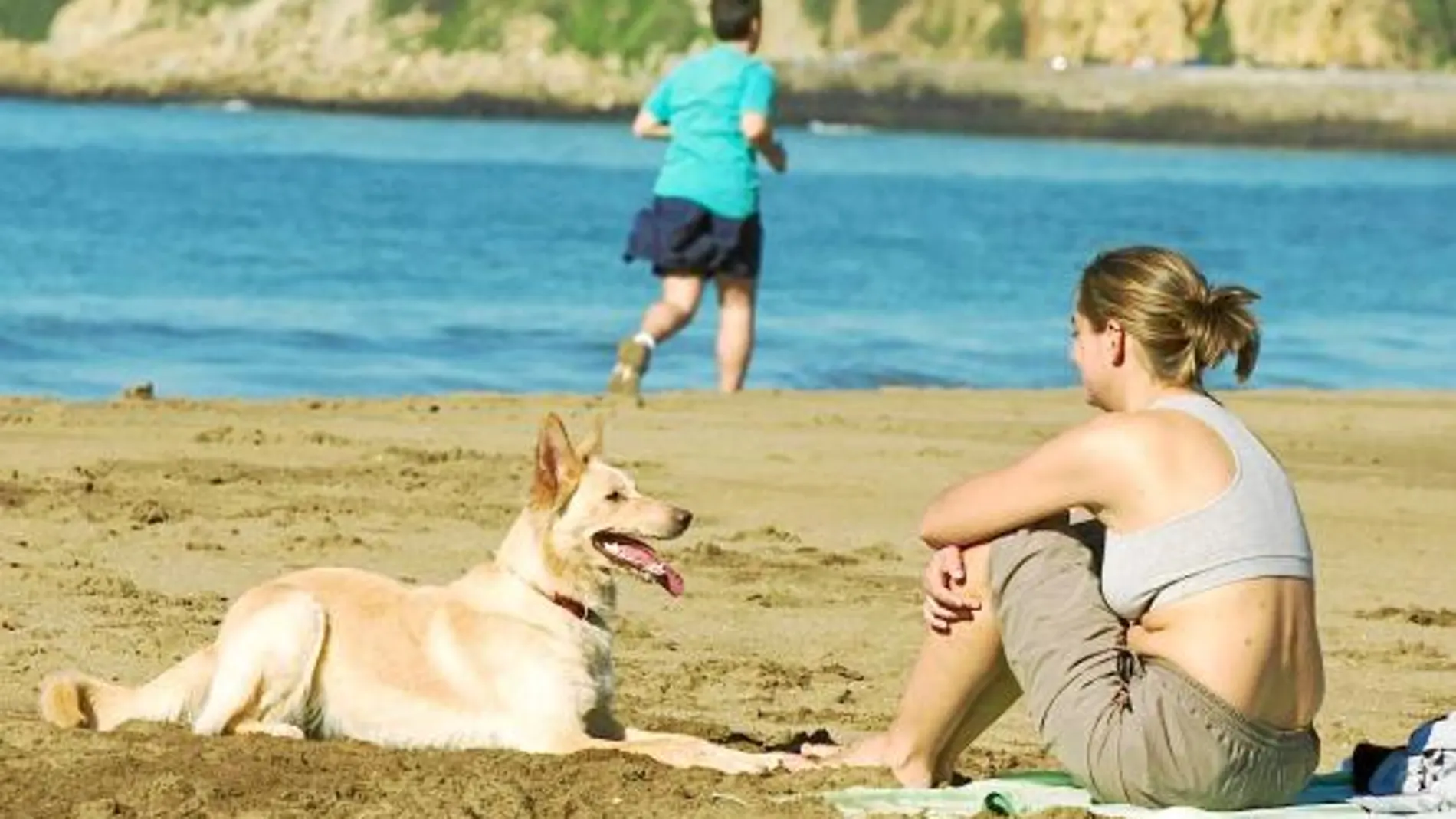 Los españoles gozan cada vez de más opciones de pasar las vacaciones con su mascota