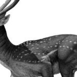 Recreación de la nueva especie de ciervo Megaloceros novocarhaginiensis, en función de los restos encontrados