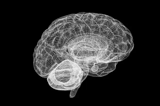 ¿Qué le pasa al cerebro tras morir?