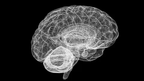 Cuando los microchips del futuro tengan neuronas