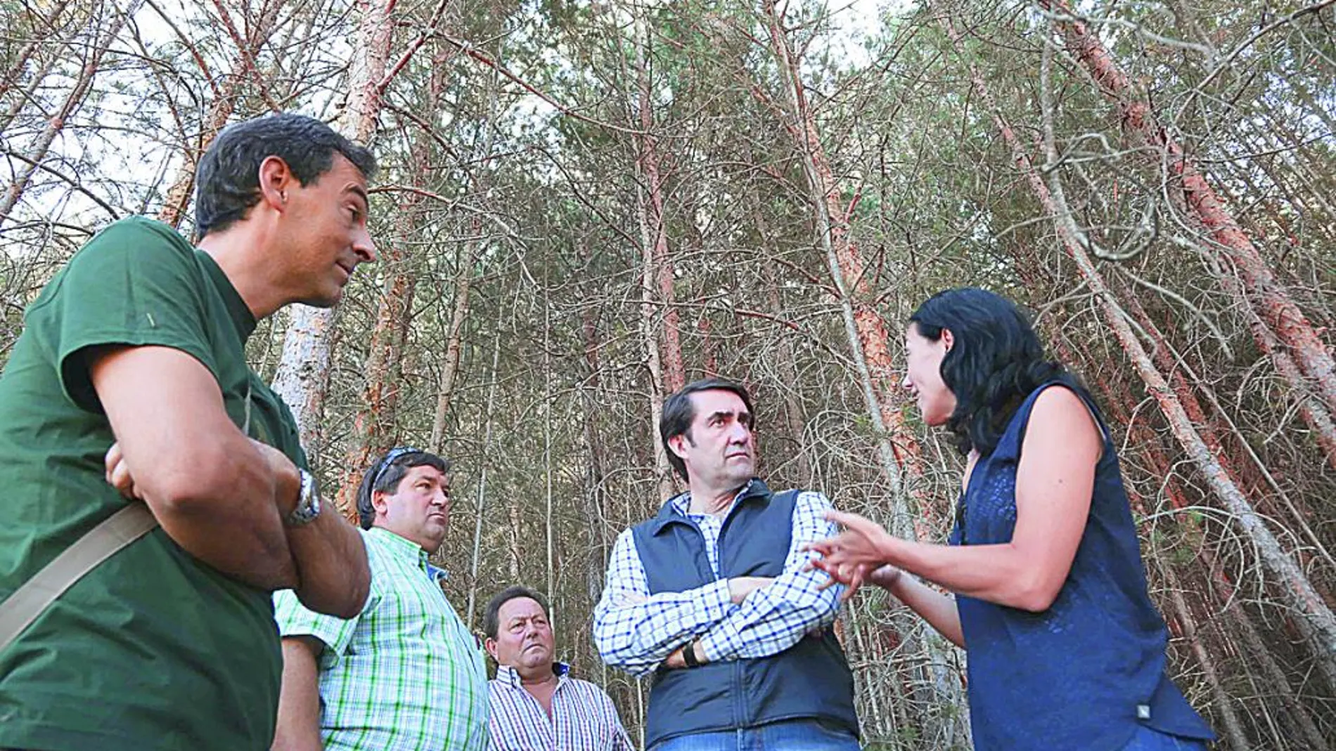 Juan Carlos Suárez-Quiñones, visita el monte pinar de Navafría en el Parque Natural de Guadarrama (Segovia)