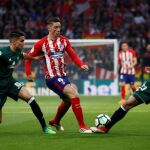Fernando Torres