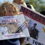 Protestas contra la muerte del león más famoso de Zimbabue
