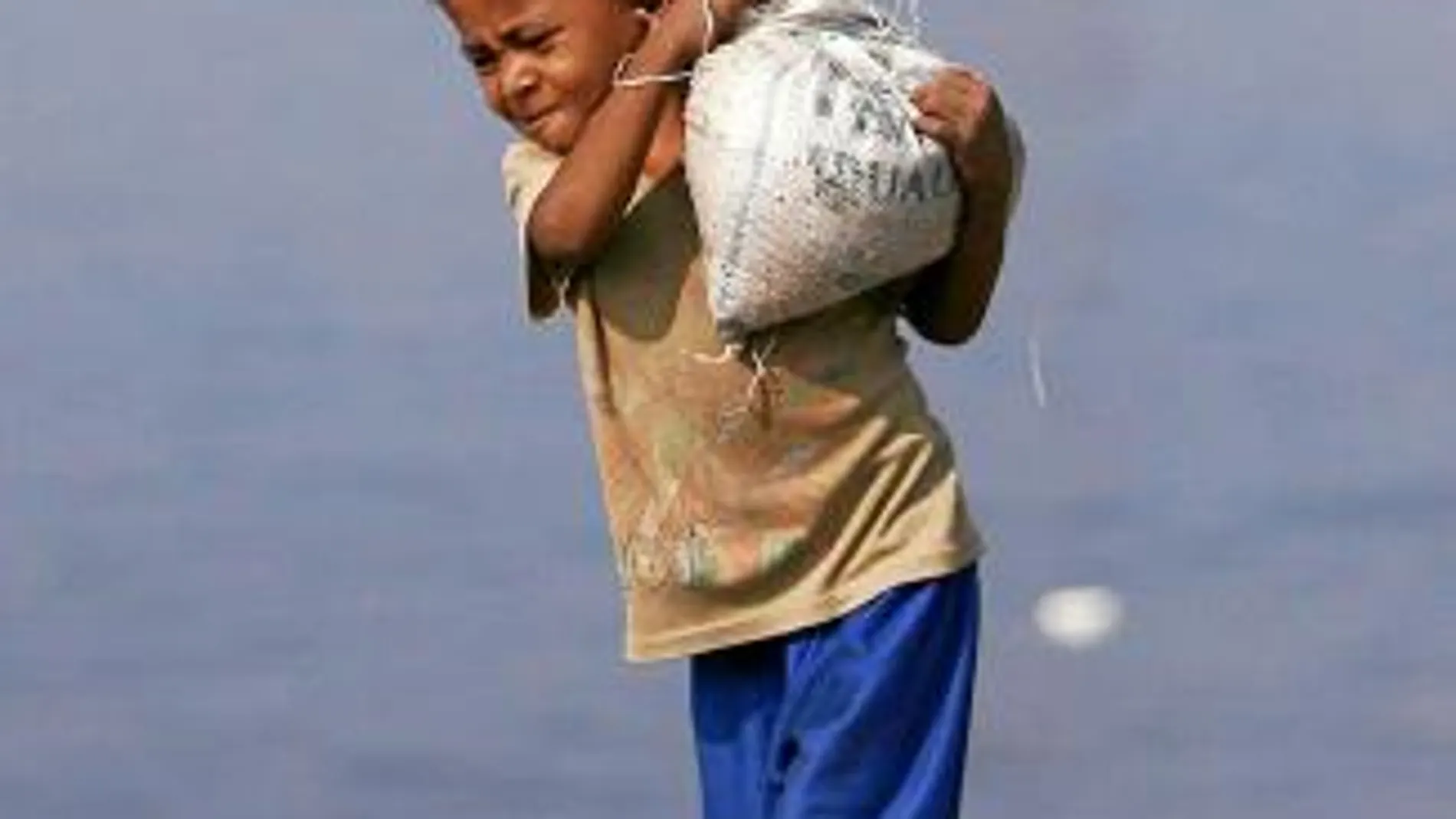 La fundación lucha por la erradicación del trabajo infantil