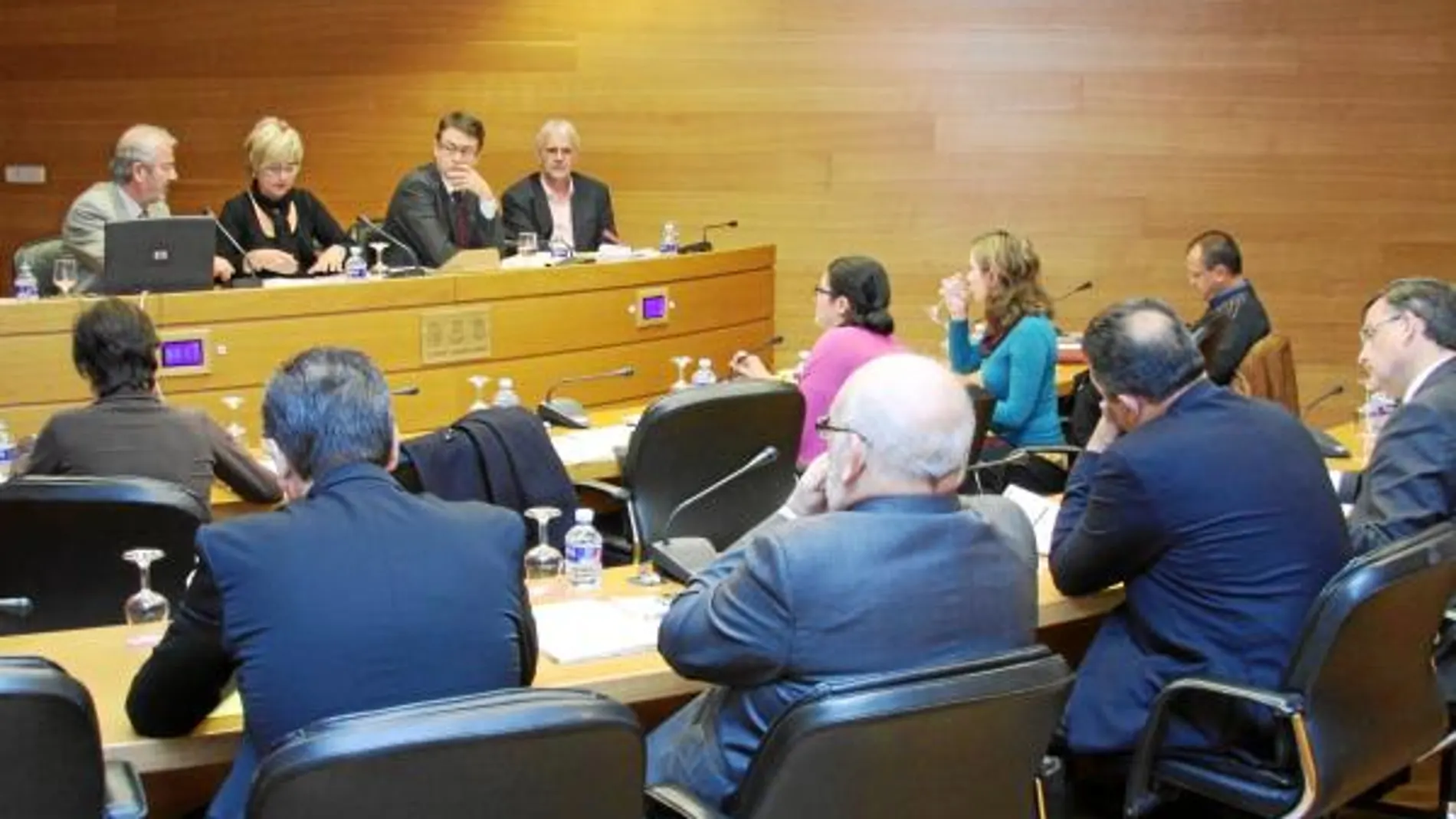 El profesor José Luis Rubio (primero por la izquierda, en la mesa) se explica ante los diputados