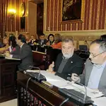 IU insta al Pleno a «condenar a Israel» y hacer un comedor en Pino Montano