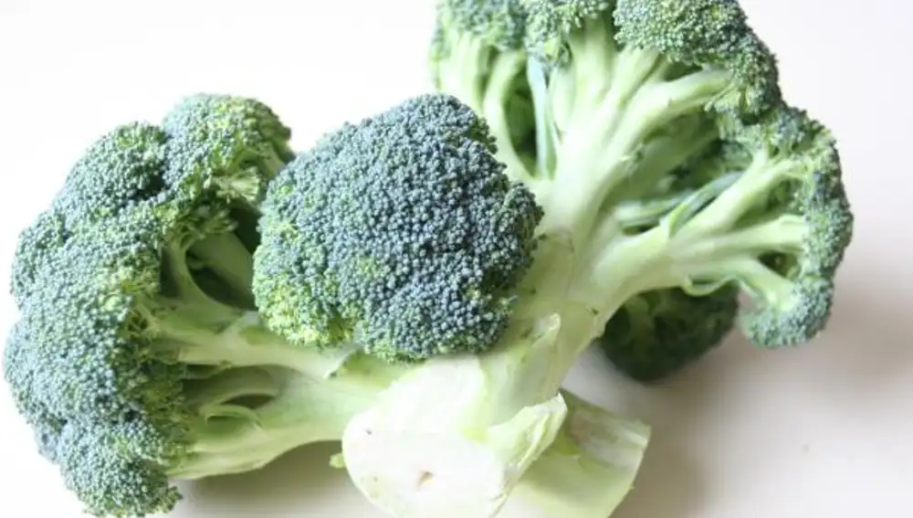 Comer brócoli y coles de Bruselas podría bloquear el avance del cáncer