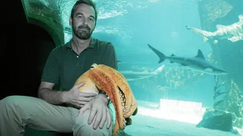 «Sería cruel comerse a Paul a la gallega»
