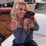 Britney Spears se gasta más de 20.000 euros en sus perros