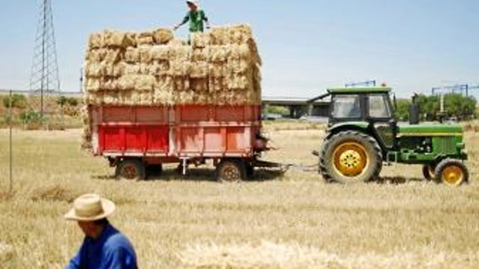 El sector agrícola cataán pide más vigilancia policial ante el importante incremento de los robos
