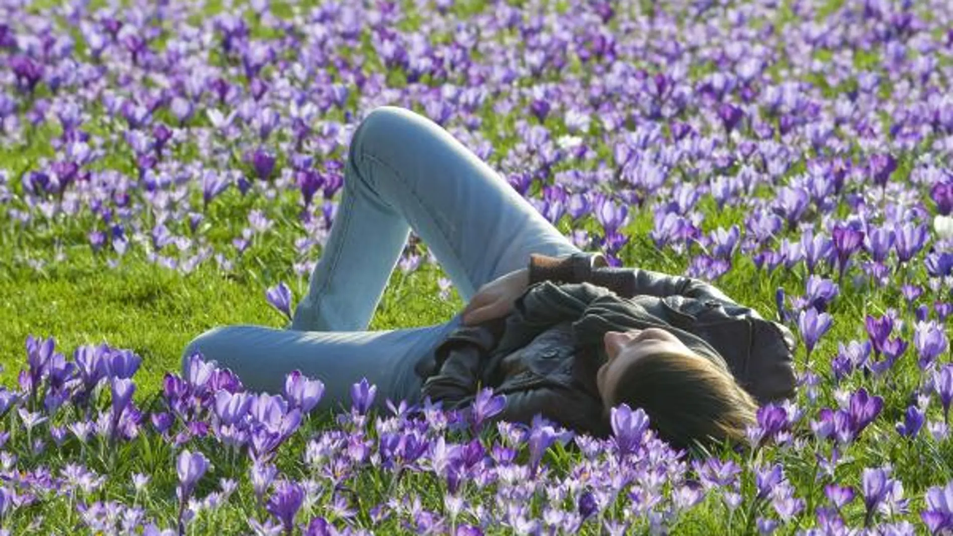 Una persona duerme en un parque. Fuente:AP