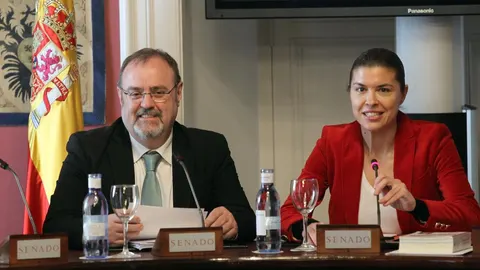 El consejero de Educación, Fernando Rey, comparece en el Senado, junto a la senadora del PP por Zamora, Clara San Damián