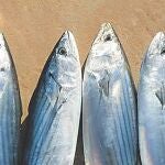 Consumir ácidos grasos omega-3 reduce el riesgo de mortalidad