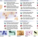 Cita exprés para viajar más seguro