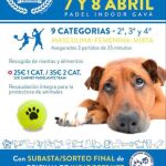 Cartel del torneo