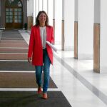 Patricia Navarro, vicesecretaria de Organización del PP-A, ayer en el Parlamento