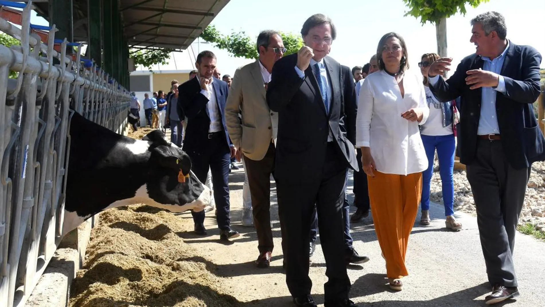 La consejera Milagros Marcos recorre las instalaciones de la granja Fuentespina, en compañía del presidente el Grupo, Tomás Pascual