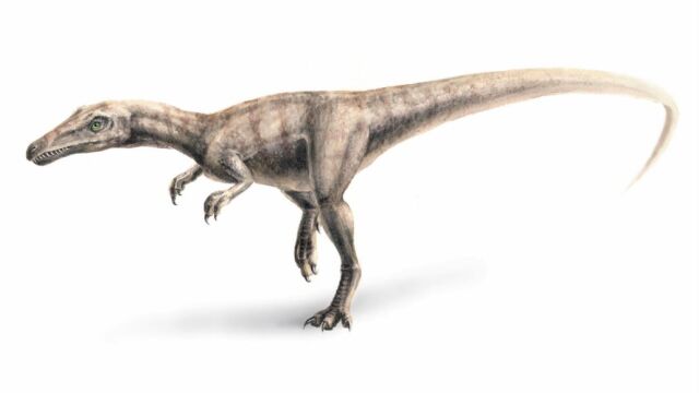 El estudio revela más detalles sobre las rutas de emigración de los dinosaurios