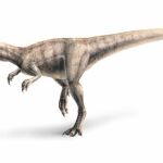 El estudio revela más detalles sobre las rutas de emigración de los dinosaurios