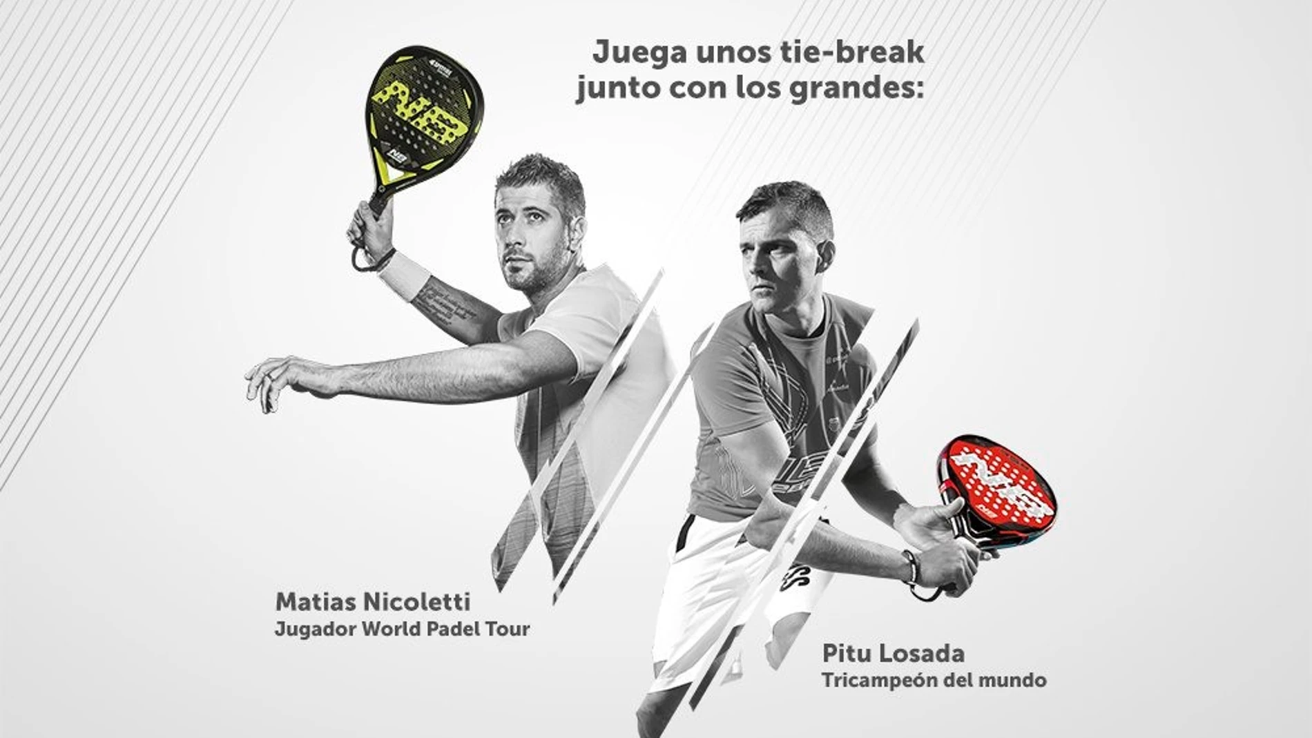 ¿Quieres conocer las novedades de Enebe? Pruébalas con sus campeones