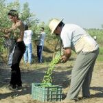 La Junta «vigilará» por satélite las fincas que reciben ayudas de la PAC