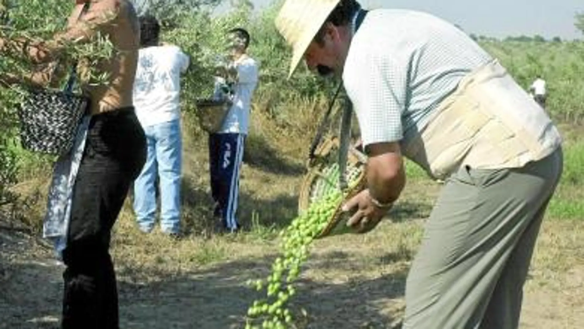 La Junta «vigilará» por satélite las fincas que reciben ayudas de la PAC