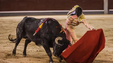 El novillero Carlos Ochoa dando un natural anoche, en Las Ventas / Plaza 1
