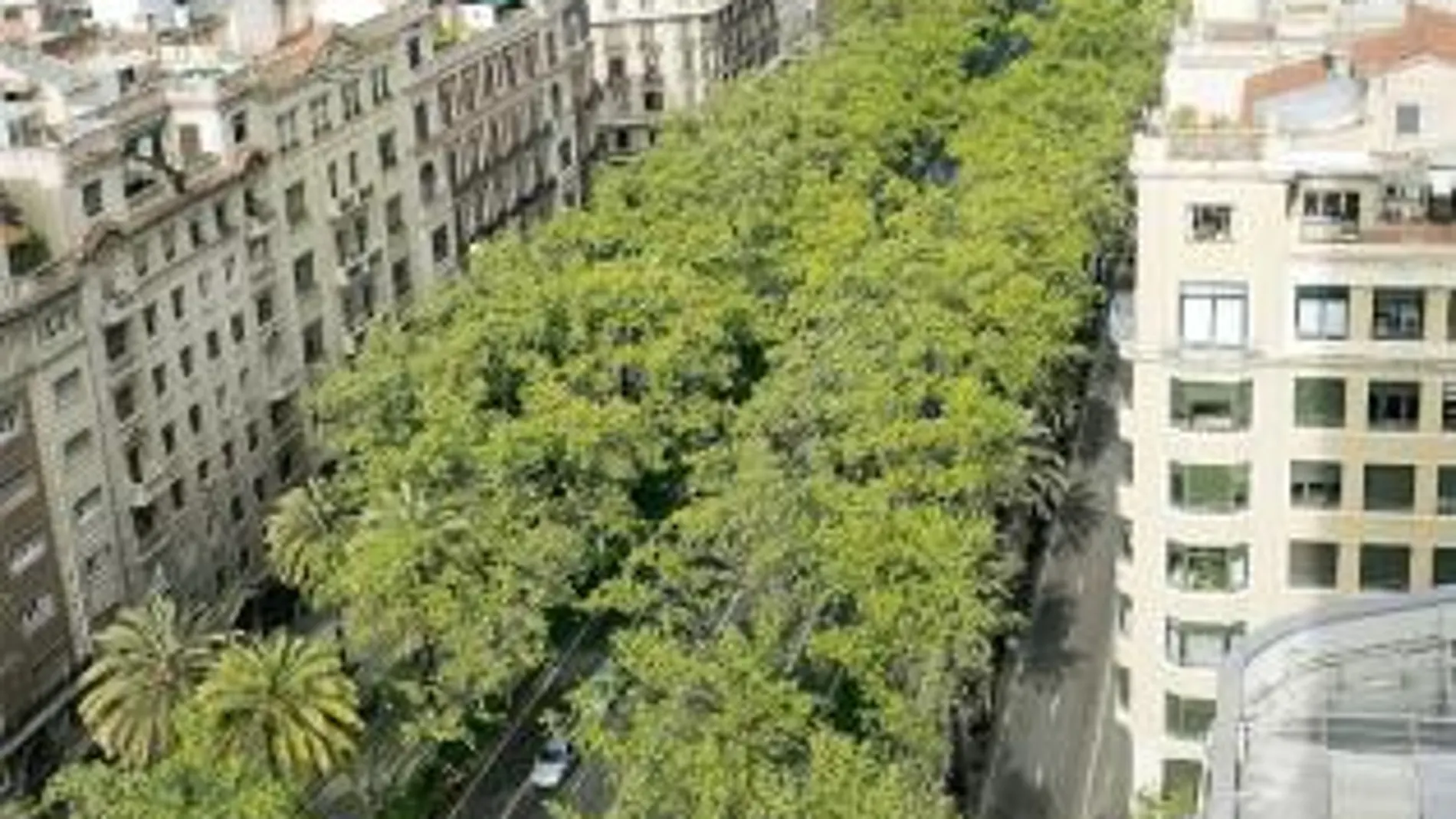 Vista del tramo de la Diagonal, desde Francesc Macià, que se quiere reformar