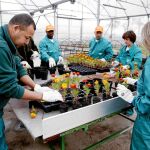 Uno de los talleres en los que los aspirantes aprenden nociones de jardinería y limpieza viaria