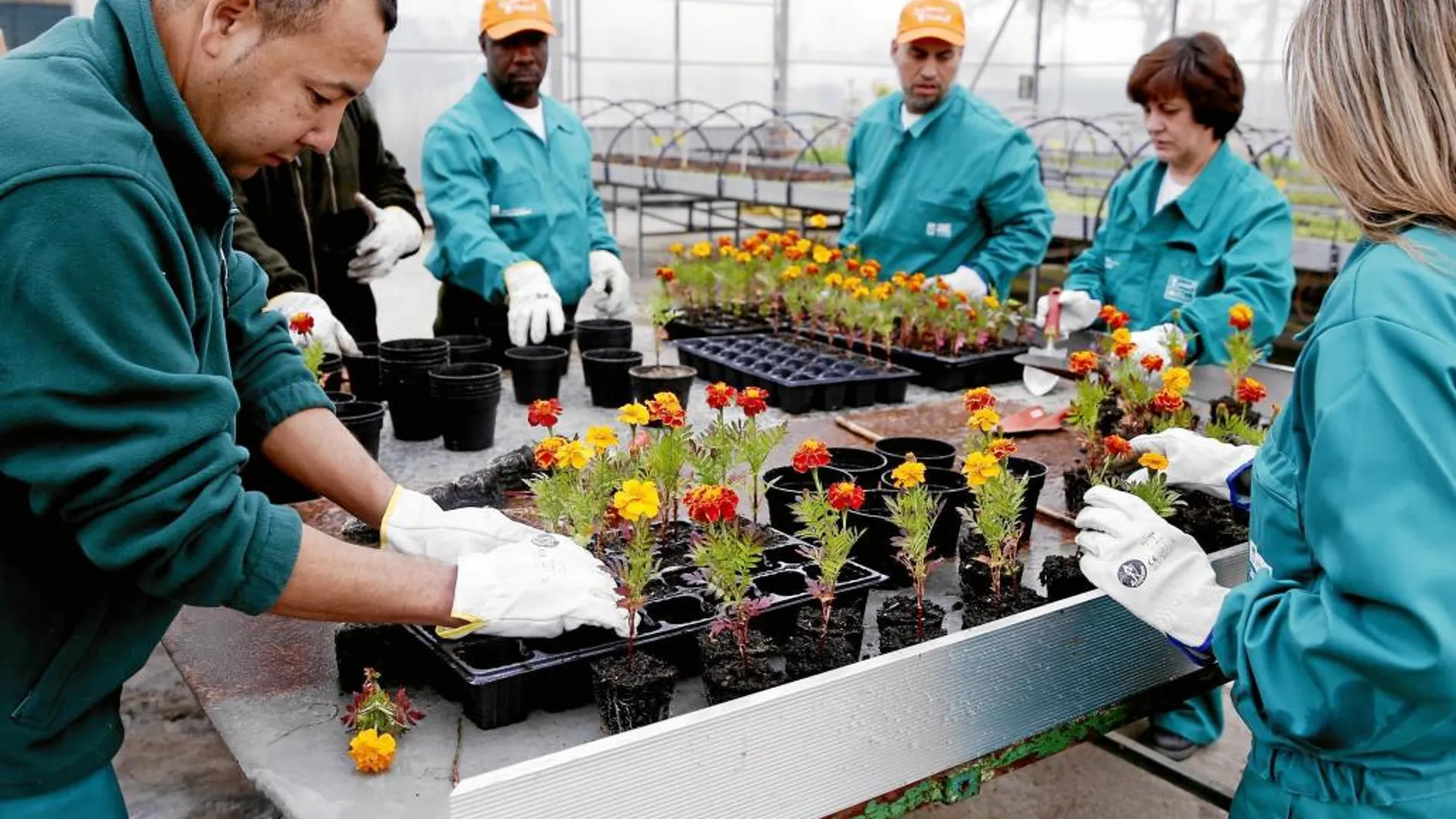 Uno de los talleres en los que los aspirantes aprenden nociones de jardinería y limpieza viaria