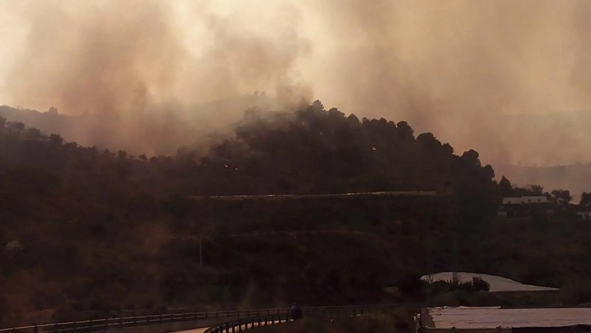 El incendio forestal declarado en un alcornocal entre los términos municipales de Gualchos y Lújar